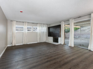 Living Room-before